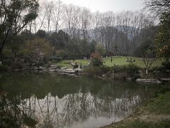-习家池