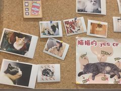 -有猫咖啡umeow coffee