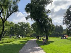 -上海共青森林公园