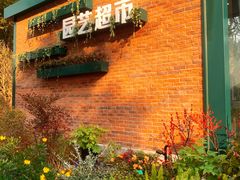 -新江湾城公园