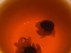 来自新疆产的菊花-巴扎美食·新疆菜·西域歌舞表演餐厅(新疆大厦店)