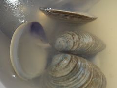 -考记泥焗鸡农庄·海鲜(北洛秘境店)