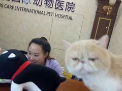 -宠爱国际动物医院· 猫科· 外科·中兽医(长白店)
