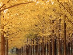 -石家庄市植物园