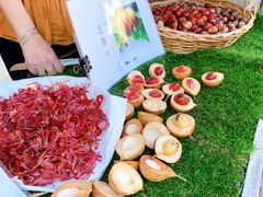 -槟城街头艺术街区