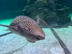 -香港海洋公园