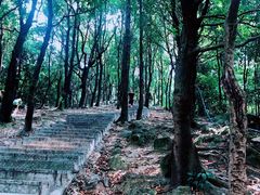 -火炉山森林公园