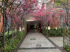 -厦门老院子景区