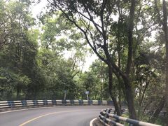 -南山植物园