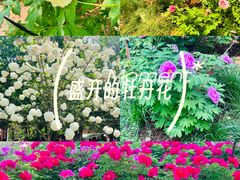 -洛阳市隋唐城遗址植物园