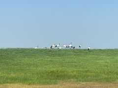 -黑龙江扎龙生态旅游区