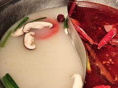 -熊喵来了火锅·牧场好肉(邯郸邯山万达店)