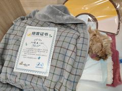 -恒幸动物医院·急重症转诊中心·神经内外科·CT核磁