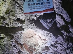 -周口店北京人遗址公园