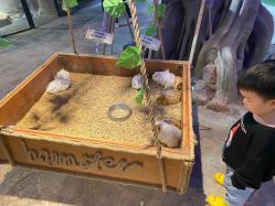 -酷嗒动物文化乐园(cutezoo西溪乐天城店)