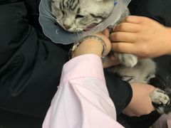 -宠颐生中康贝怡动物医院
