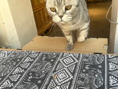 -甲乙丁書店·书茶咖·四合院