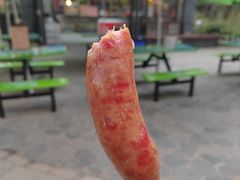 -上海共青森林公园