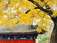-香山公园