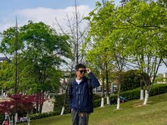 -铁山坪森林公园