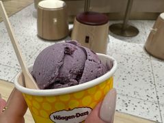 -哈根达斯(卓展店)