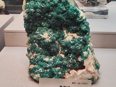 -湖南省地质博物馆