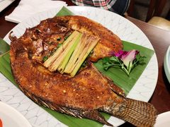 -紫滇源云南生态菜(丹凤街店)
