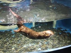 -成都浩海立方海洋公园