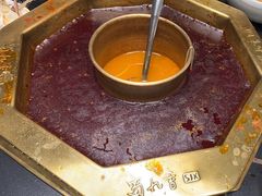 -蜀九香火锅(彩虹店)