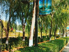 -西安汉城湖景区