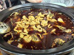 -金海椒罐罐鲢鱼(东方桂苑店)