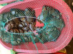 -芦潮港集贸市场