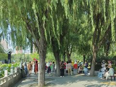 -莲花池公园