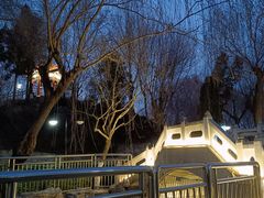 -黄村公园