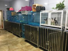 -宠爱有家宠物店(环镇北路店)