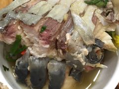 -鸭嘴鱼