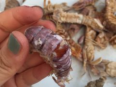 -抹直口特色菜馆(一店)