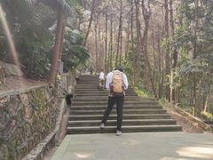 -铁山坪森林公园