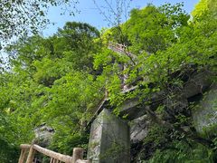 -西安祥峪森林公园