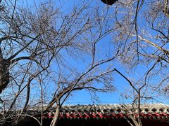 -北京鲁迅博物馆(北京新文化运动纪念馆鲁博馆区)