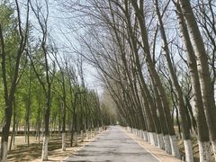 -东郊湿地公园