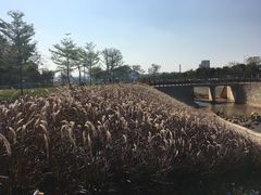 -光明小镇欢乐田园
