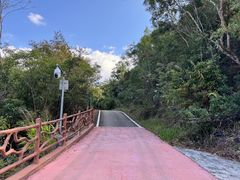 -霸王岭国家森林公园