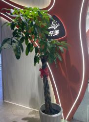 -Lily纤美·科技减脂中心