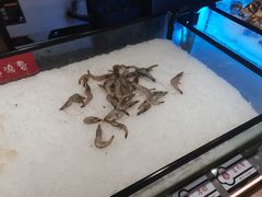 -鑫海汇海鲜烤肉火锅自助(七彩城店)