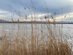 -野鸭湖国家湿地公园