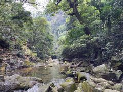 -鼎湖山风景区