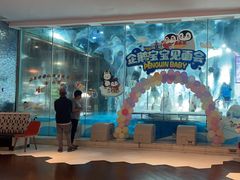 -帝企鹅自助餐厅•儿童岛•真企鹅(长隆企鹅酒店)