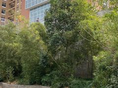 -南京明基医院