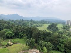 -成都蒲江花样年福朋喜来登度假酒店·宜客乐西餐厅